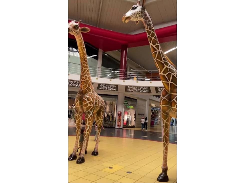 Venta y Alquiler Locales Comerciales Albrook Mall  AA — foto 2