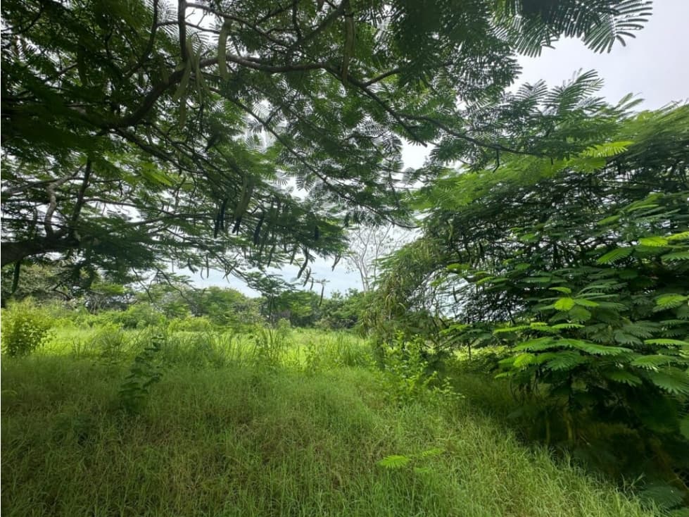 Terreno en Punta Roca ubicado en San Carlos — foto 1