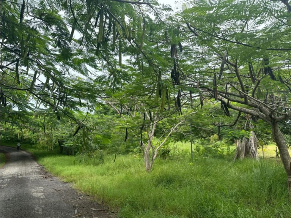 Terreno en Punta Roca ubicado en San Carlos — foto 1