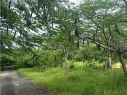 Terreno en Punta Roca ubicado en San Carlos