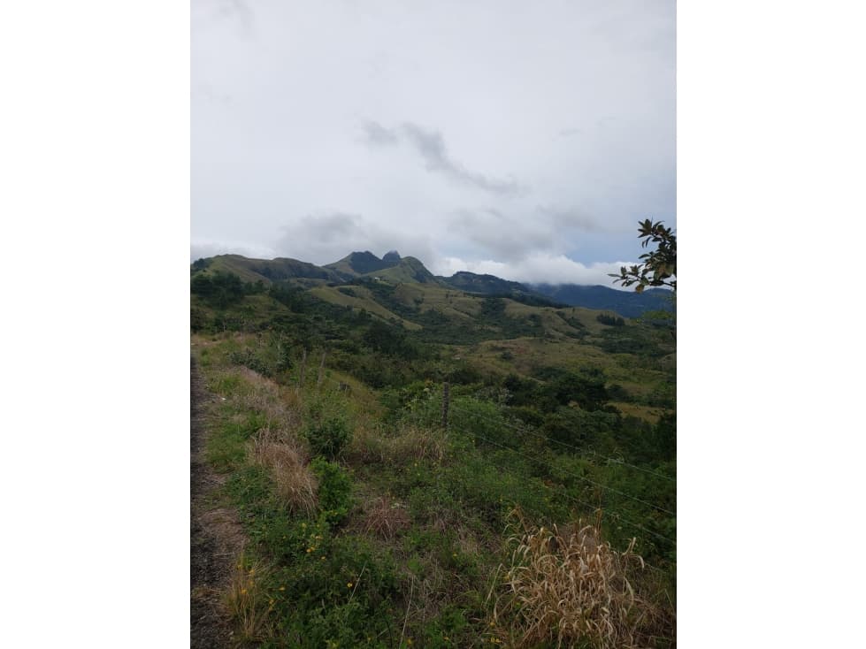 VENTA DE TERRENO/ EL NANCITO, LA LAGUNA DE SAN CARLOS — foto 1