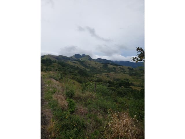 VENTA DE TERRENO/ EL NANCITO, LA LAGUNA DE SAN CARLOS