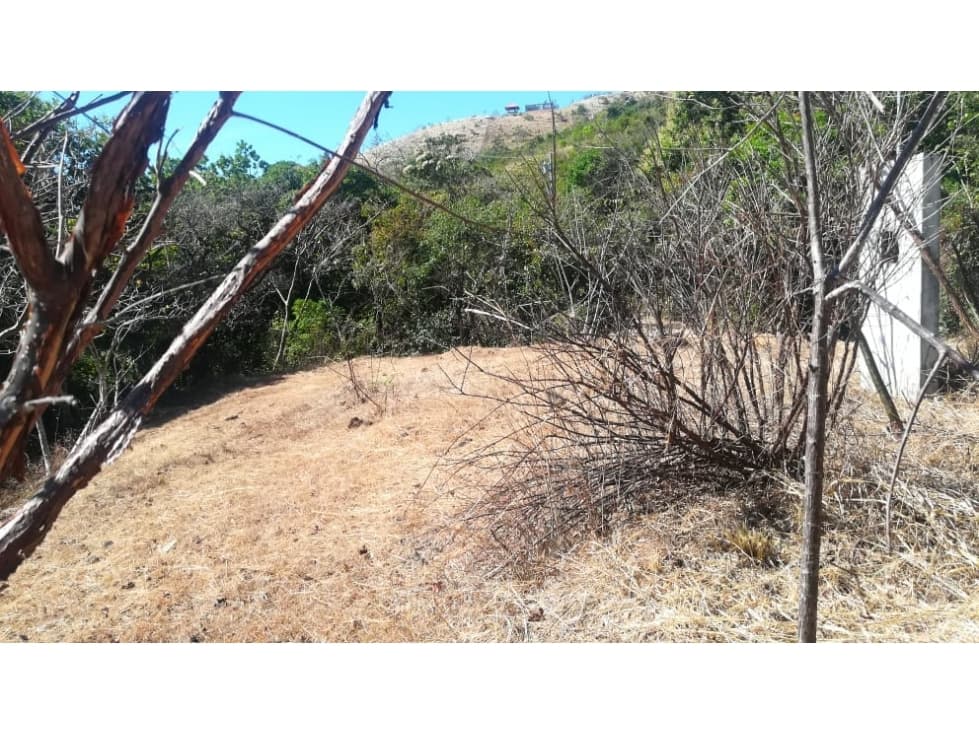 VENTA DE TERRENO/ EL NANCITO, LA LAGUNA DE SAN CARLOS — foto 4