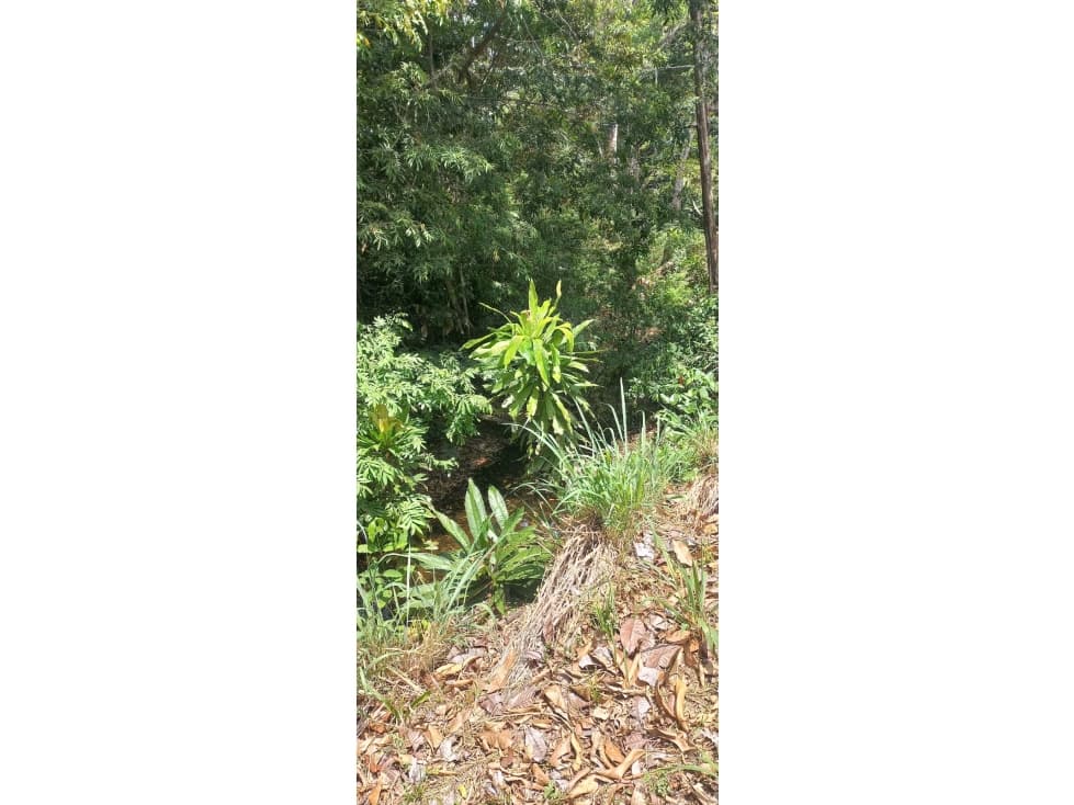 TERRENO EN VENTA/ LOS LOTES DE PACORA — foto 4
