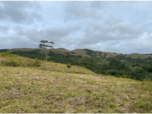 TERRENO EN VENTA/ LA SOLANA, LA LAGUNA DE SAN CARLOS