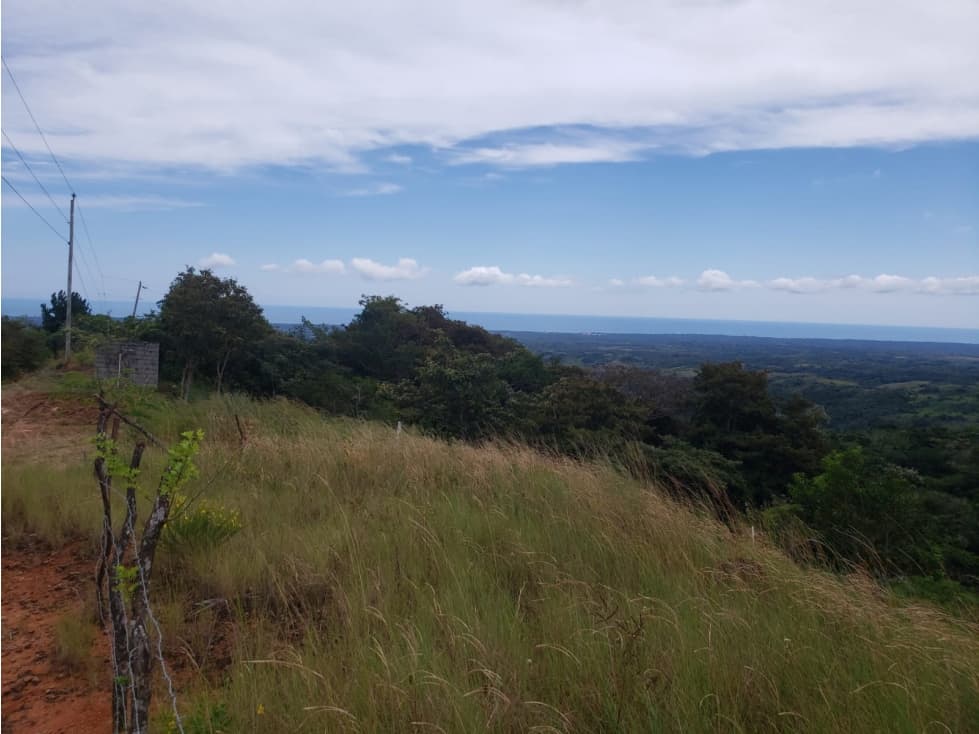VENTA DE TERRENO/ EL NANCITO, LA LAGUNA DE SAN CARLOS — foto 3