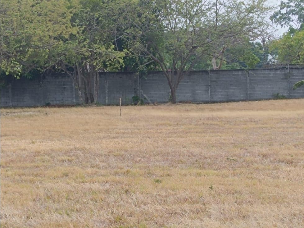 Coronado, Se Vende Terreno en Palmeras del Golf — foto 2