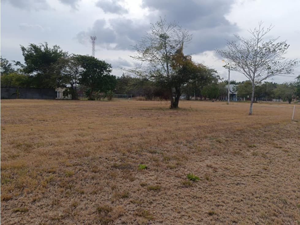 Coronado, Se Vende Terreno en Palmeras del Golf — foto 3