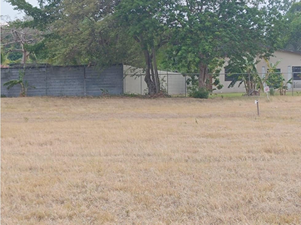 Coronado, Se Vende Terreno en Palmeras del Golf — foto 4