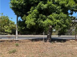 Terreno con alto trafico sobre la Vía Panamericana en San Carlos
