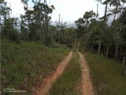 Finca en venta en Cerro Azul | 20.7 has para desarrollo o inversión