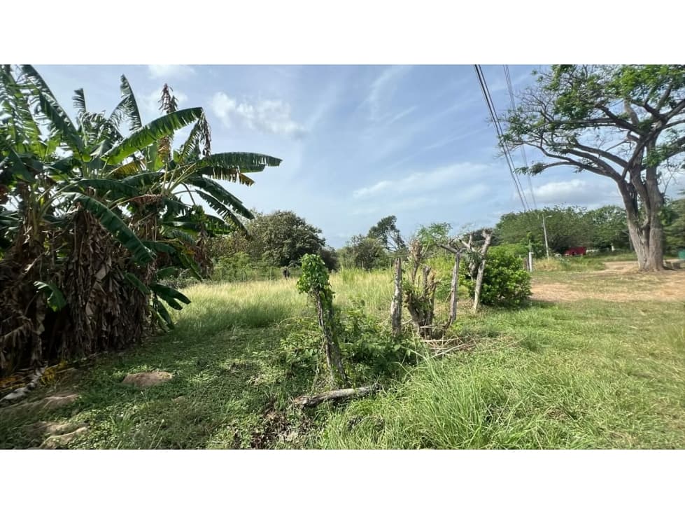 Lote en venta en Gorgona | 600 m² planos cerca de la playa — foto 4