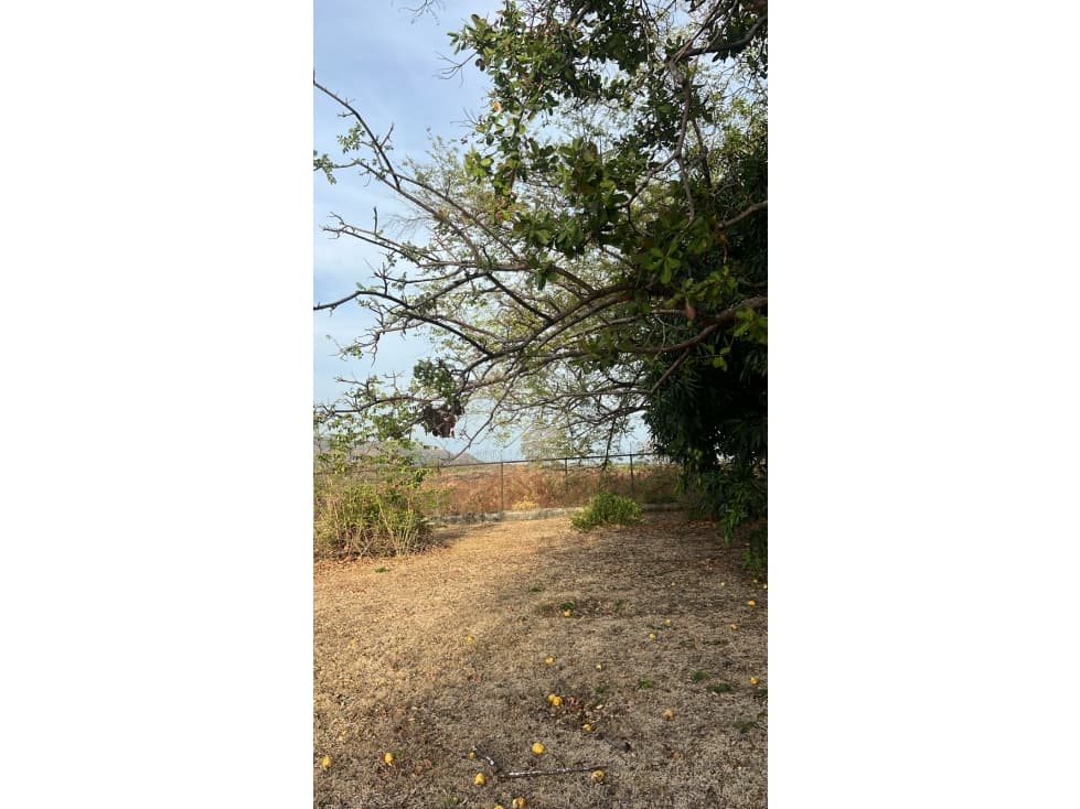 Lote en venta en Gorgona | 1,007 m² cerca de la playa — foto 6