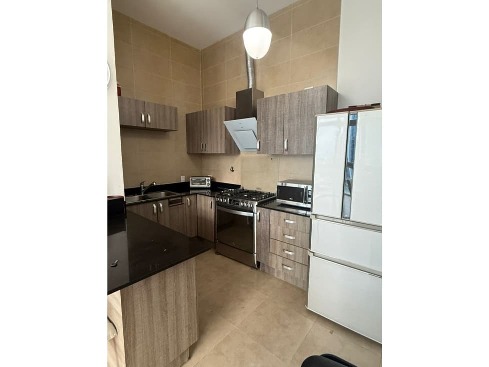 ALQUILER PH THE ONE TOWER 2 REC FULL AMOB — foto 3