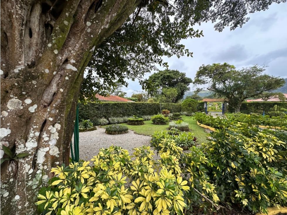 VENTA CASA EN EL VALLE DE ANTON -1,700m2 — foto 2