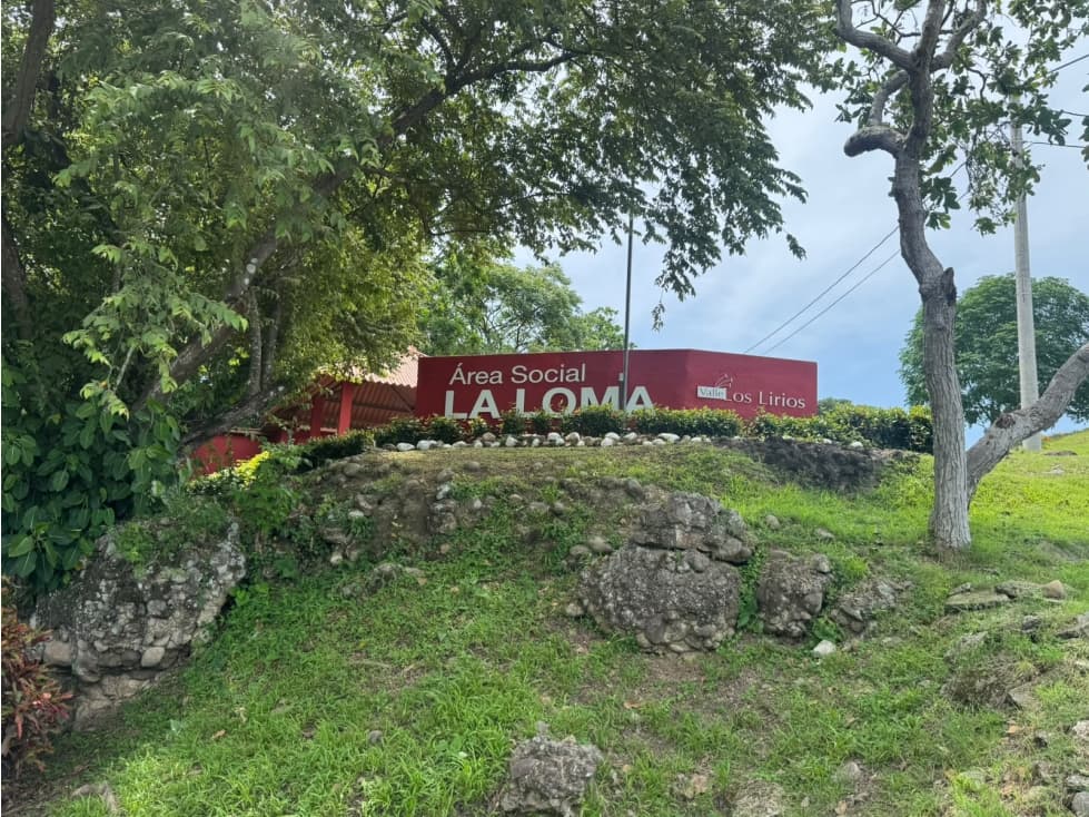 VENTA DE LOTE Valle Los Lirios, San Carlos — foto 2