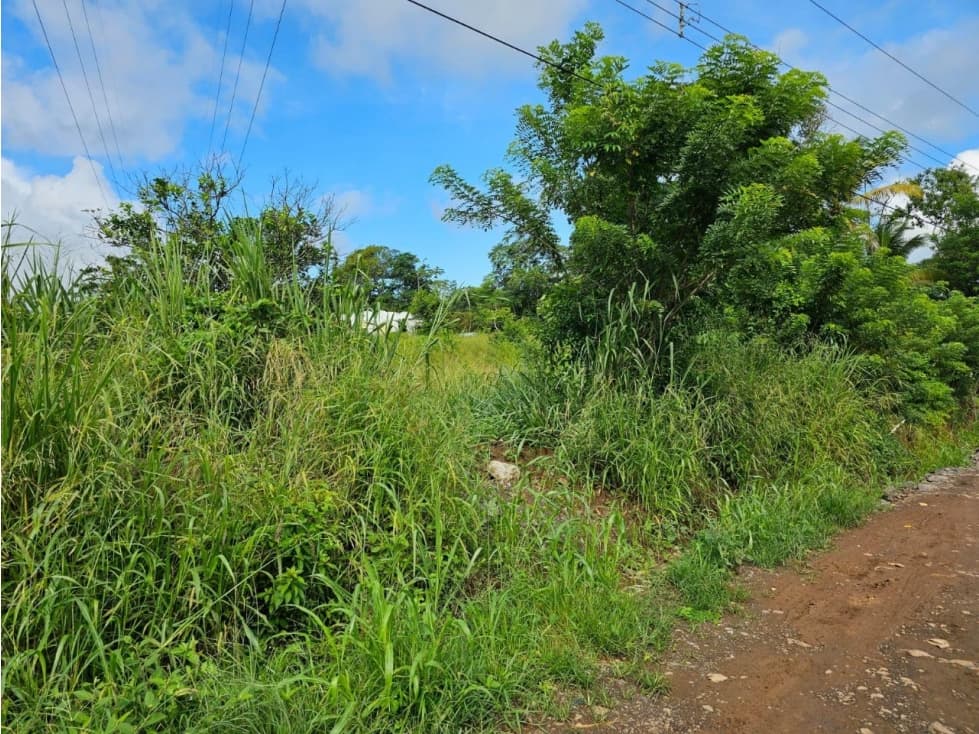VENDO TERRENO COMERCIAL EL COCO DE LA CHORRERA — foto 2