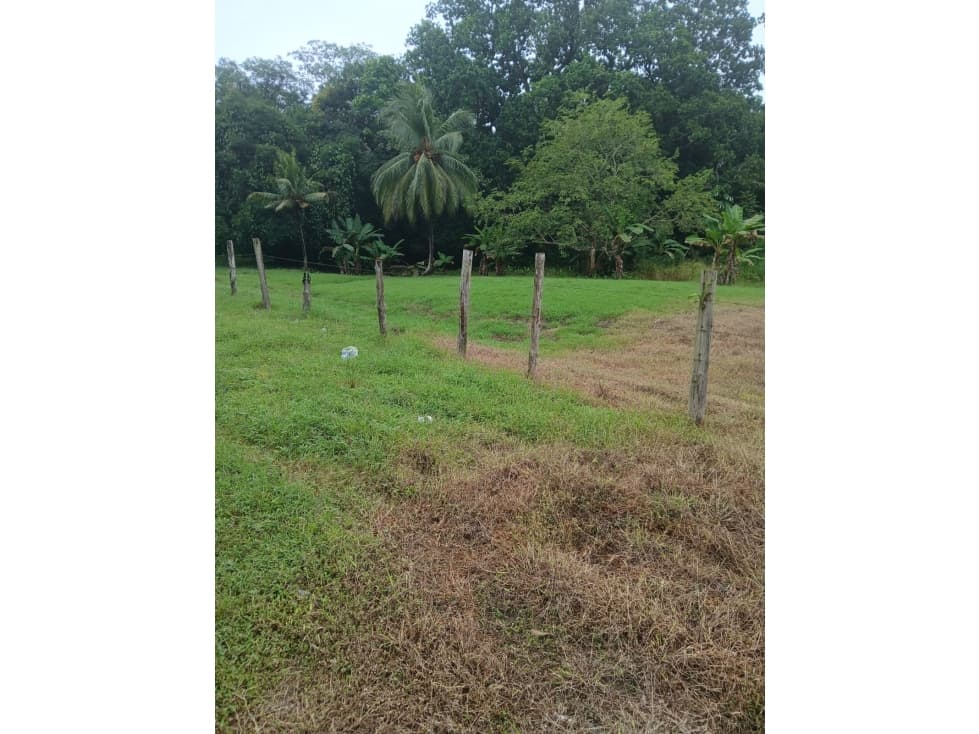 Se Vende terreno ubicado en Pacora (AP) — foto 1