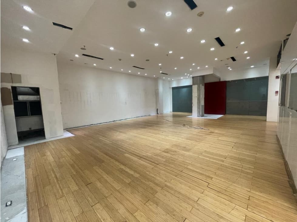Venta de Local Comercial en Avenida Balbia — foto 4