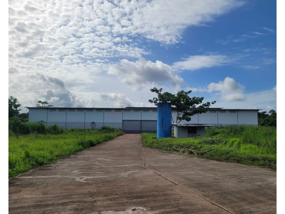 Se Alquila Bodega y Terreno en Nuevo Chorrillo, Arraiján — foto 1