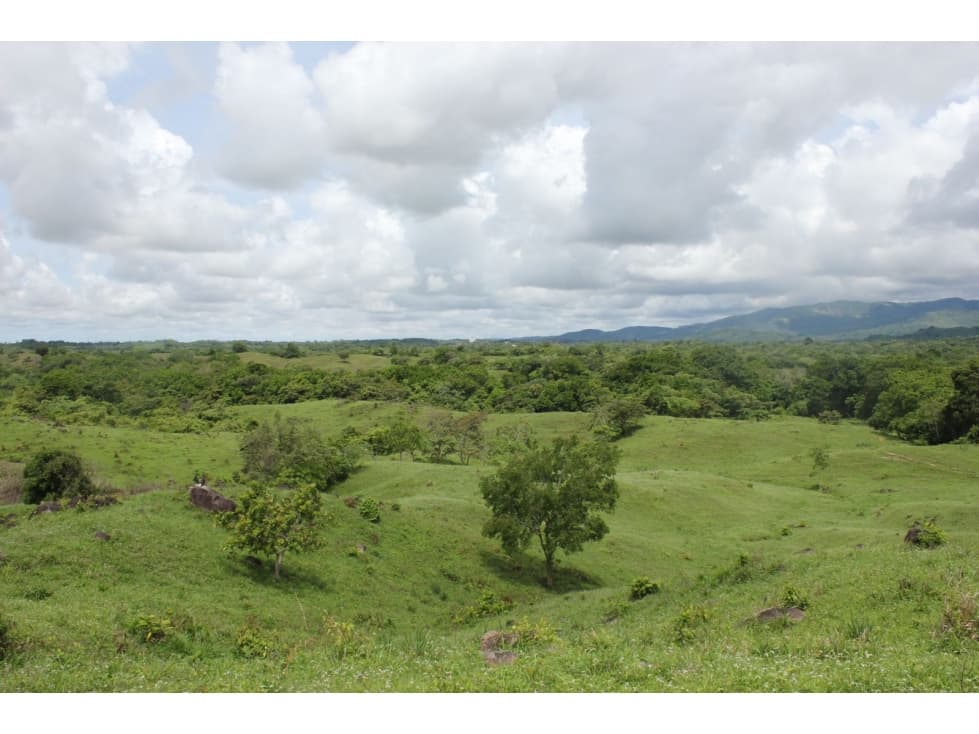 Venta de Terreno en Utivé, Pacora — foto 3