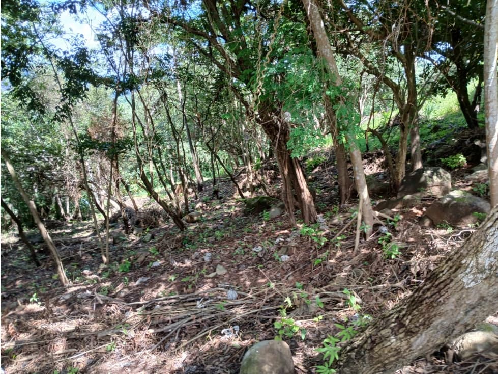 Terreno en Venta en Aires de Chicá, Chame — foto 3