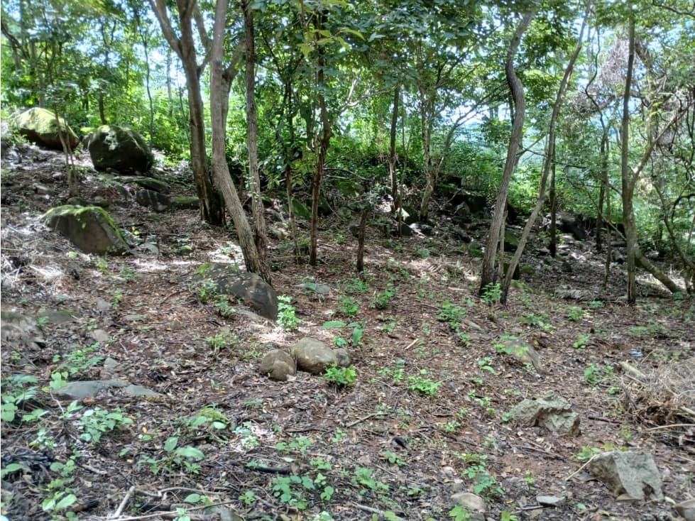 Terreno en Venta en Aires de Chicá, Chame — foto 6