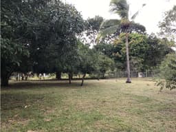 Se Vende Terreno en Gorgona