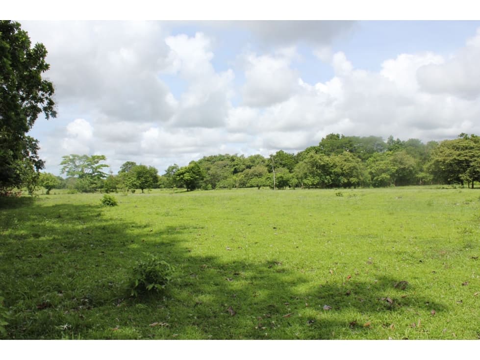 Venta de Terreno en Utivé, Pacora — foto 4
