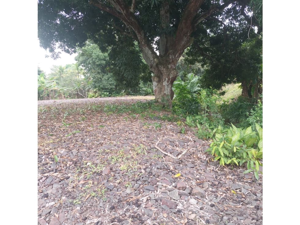 Se vende terreno en Arraiján, Panamá Oeste — foto 4