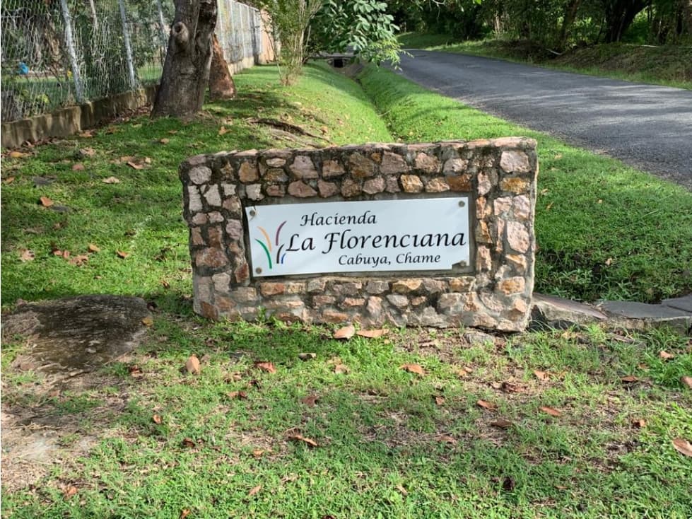 Se vende lote en La Florenciana, Chame — foto 1