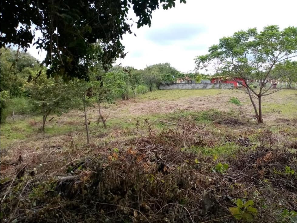 Se vende lote en La Florenciana, Chame — foto 2