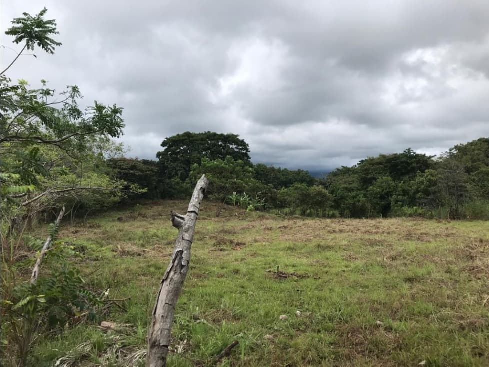 Se vende lote en La Florenciana, Chame — foto 4