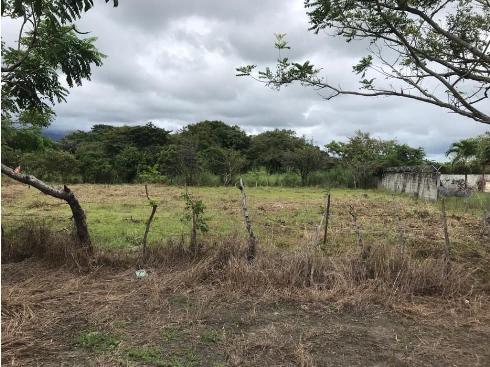 Se vende lote en La Florenciana, Chame — foto 5