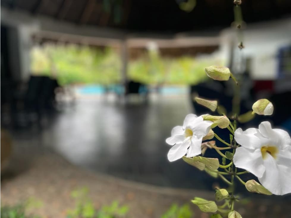 Se Vende Casa en Punta Barco, San Carlos — foto 2