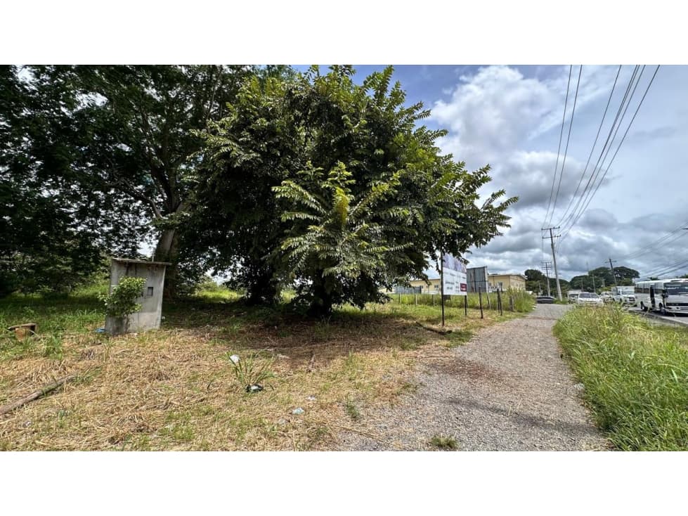 Se vende terreno en David, Chiriquí — foto 4