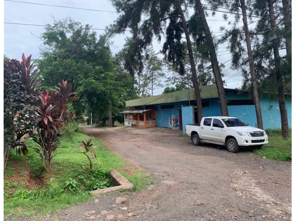 VENTA DE APARTAMENTOS DE ALQUILER Y AREA COMERCIAL — foto 4