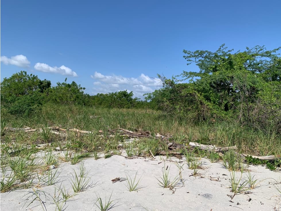 VENTA DE LOTES DE TERRENO DE PLAYA EN PUNTA CHAME — foto 4
