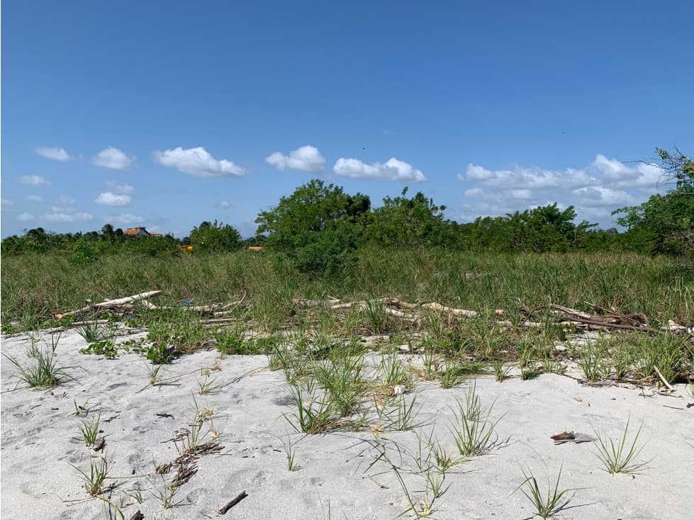 VENTA DE LOTES DE TERRENO DE PLAYA EN PUNTA CHAME — foto 5