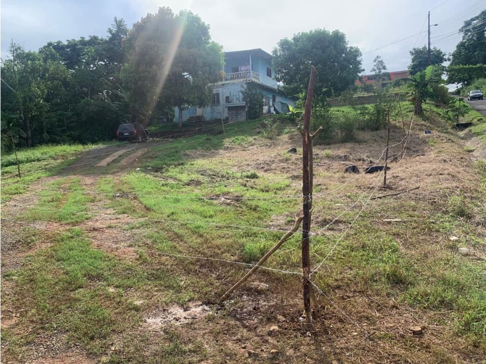 VENTA DE LOTE DE TERRENO EN LA CHORRERA — foto 4