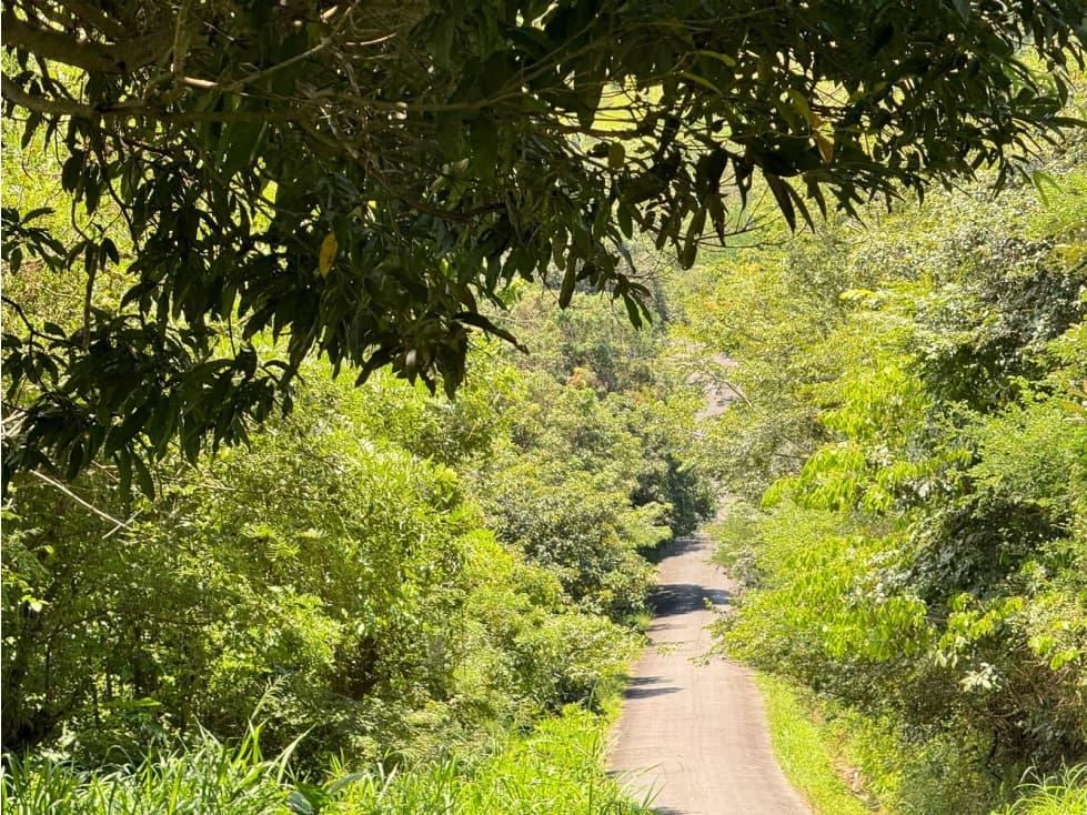 FINCA EN VENTA EN CHICA CHAME — foto 4