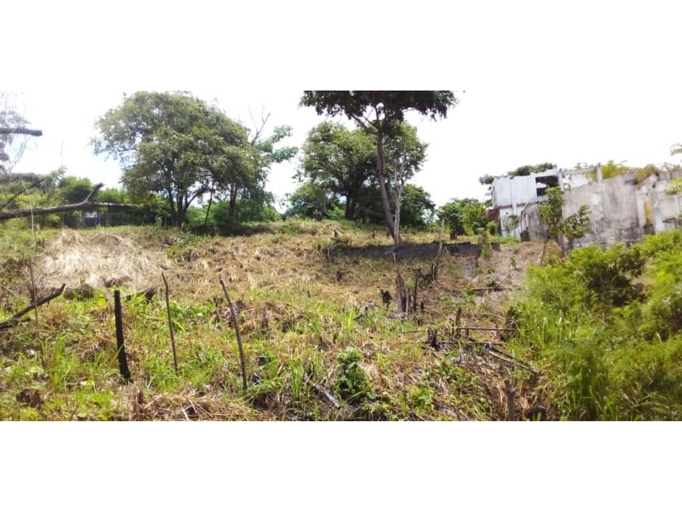 VENDO TERRENO EN VERACRUZ ARRAIJAN — foto 3