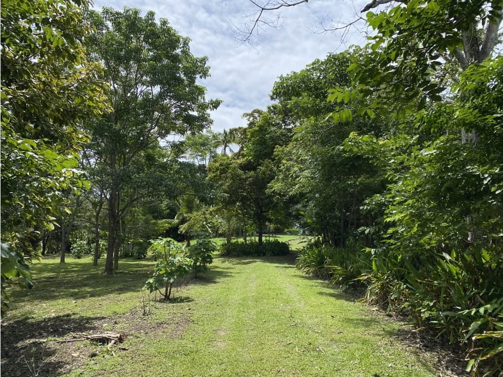 Se Vende Finca con Cabañas en San Carlos — foto 2