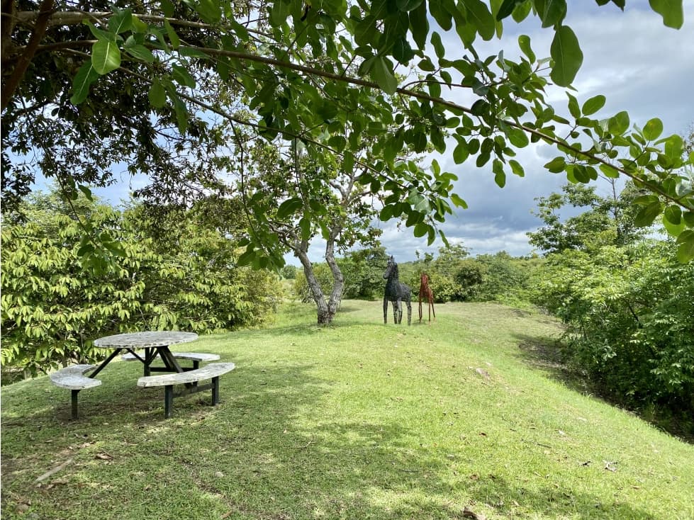 Se Vende Finca con Cabañas en San Carlos — foto 6