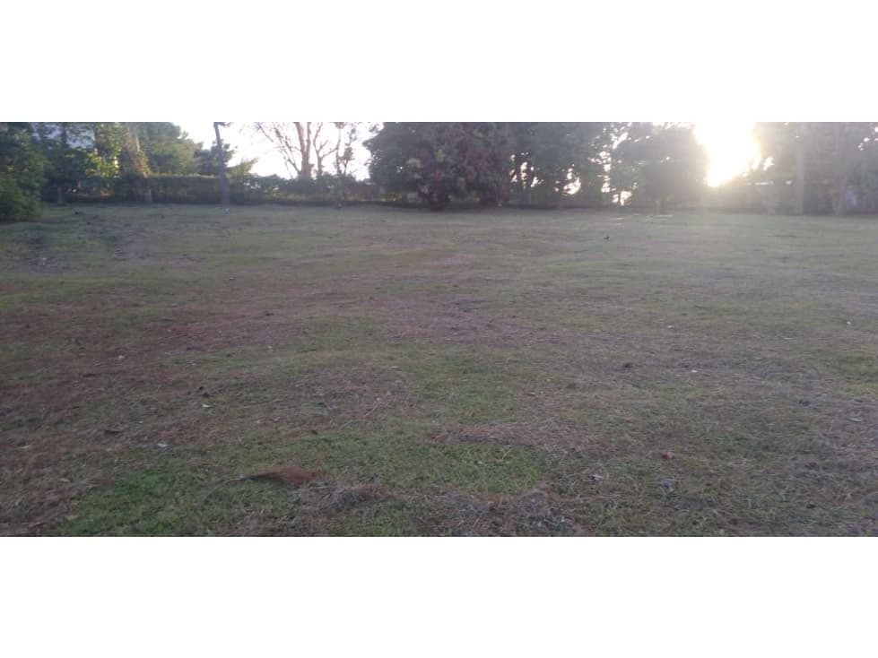 Venta de terreno en Altos del María — foto 2