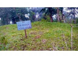 Lote 91 en La Laguna, Altos del María Refugio Natural a Tu Alcance