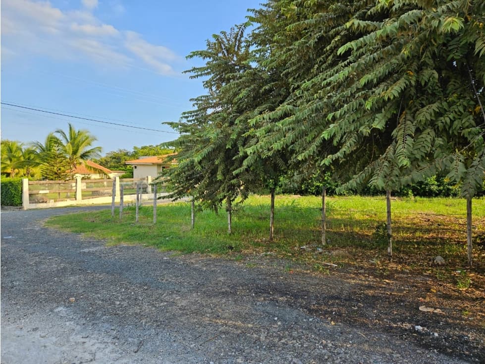 Venta de Terreno en Bahía Serena, Coronado — foto 2