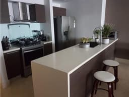 Alquiler de Apartamento PH Yoo, Avenida Balboa