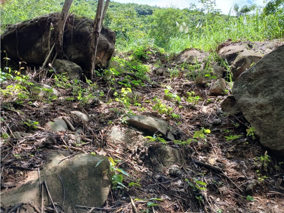 Terreno en Venta en Aires de Chicá, Chame — foto 5