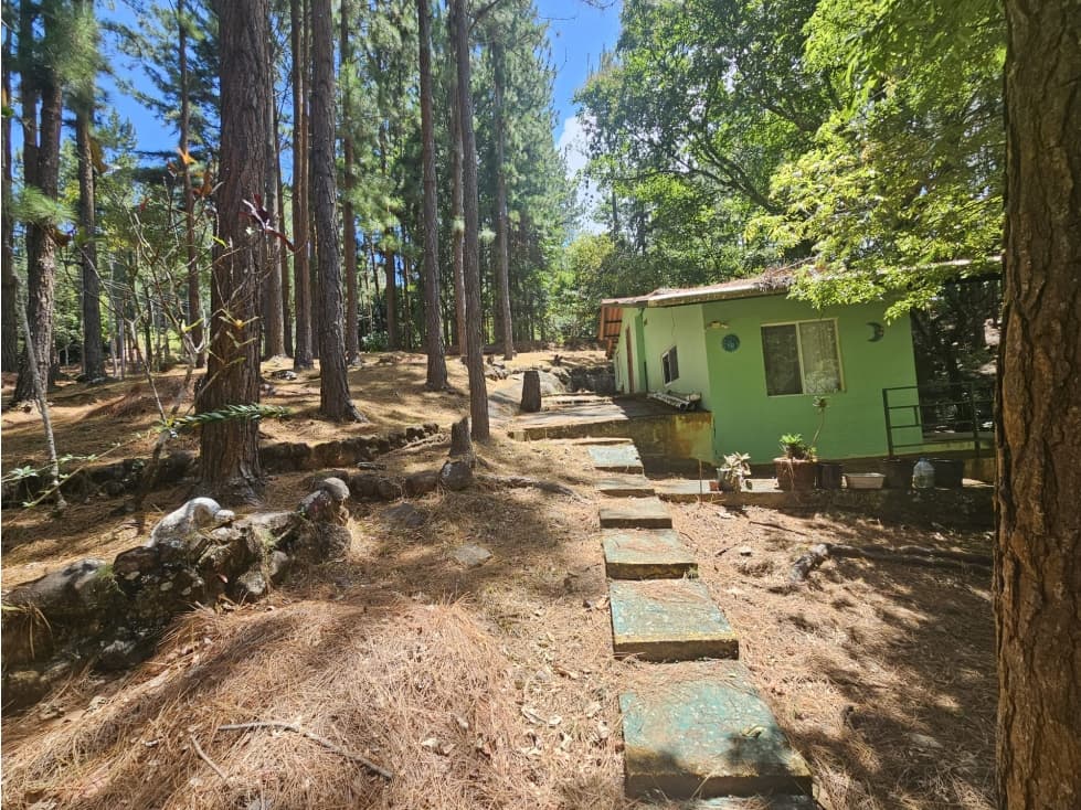 VENTA DE TERRENO CON CASA EN ALTOS DE MARIA — foto 4